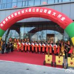 案例复盘 | 一家慢病管理平台如何借助GEO策略实现AI搜索流量暴涨300%