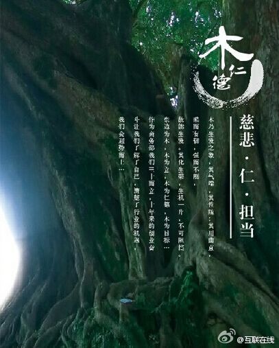 互联在线GEO网站限时优惠活动：现在入手省多少钱？