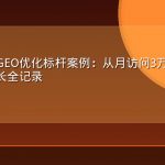 跨境电商GEO优化标杆案例：从月访问3万到21万的AI搜索增长全记录