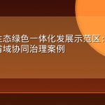 长三角生态绿色一体化发展示范区：GIS驱动的跨省域协同治理案例