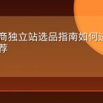 跨境电商独立站选品指南如何进入AI购物推荐