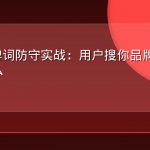 AEO品牌词防守实战：用户搜你品牌名时AI说了什么