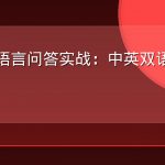 AEO跨语言问答实战：中英双语内容策略详解